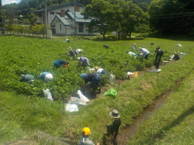 DSCN2507.JPG
