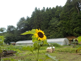 DSCN2835.JPG