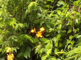 DSCN2857.JPG