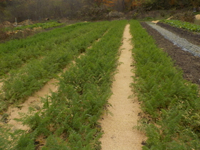 DSCN8354.JPG