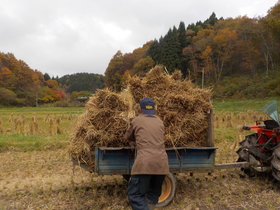 DSCN8356.JPG