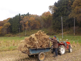 DSCN8358.JPG