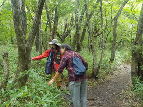 DSCN8415.JPG