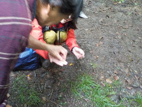 DSCN8426.JPG