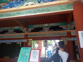 DSCN8582.JPG