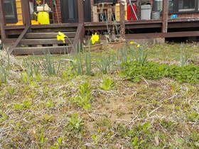 DSCN8875.JPG