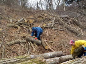 DSCN9185.JPG