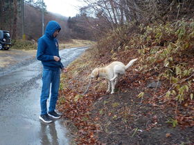 DSCN9207.JPG