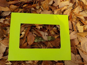 DSCN9425.JPG