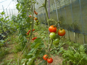 DSCN9458.JPG