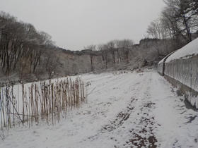 DSCN9484.JPG