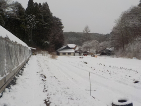 DSCN9488.JPG