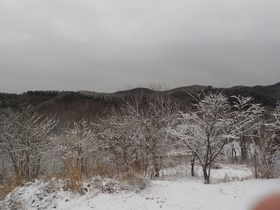 DSCN9489.JPG