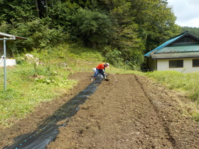 DSCN9566.JPG