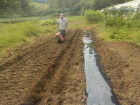 DSCN9567.JPG