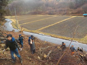 DSCN9595.JPG