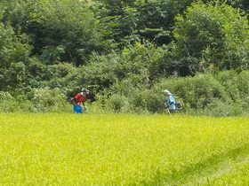 DSCN9706.JPG