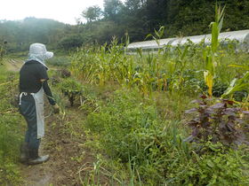 DSCN9743.JPG