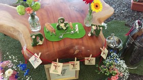 IMAG0398.jpg