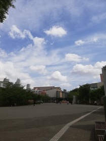 IMG_20190520_092053.jpg