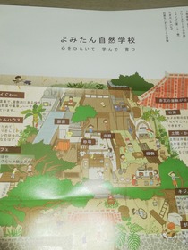IMG_20190520_144640.jpg