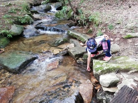 IMG_20200906_133917.jpg