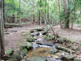 IMG_20200906_133929.jpg