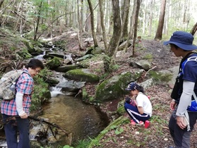 IMG_20200906_135616.jpg